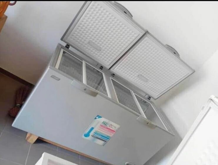 Congélateur coffre grande capacité