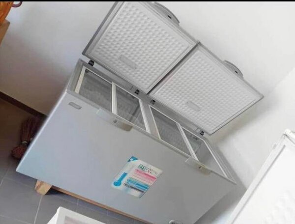 Congélateur coffre grande capacité