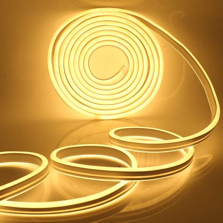 Ruban LED Néon Flexible 5m