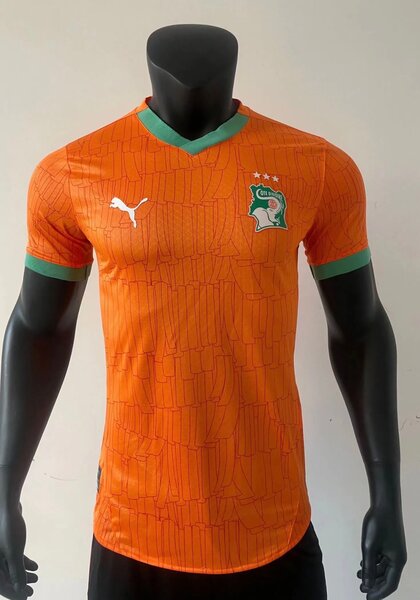 Maillot Côte d'Ivoire Puma