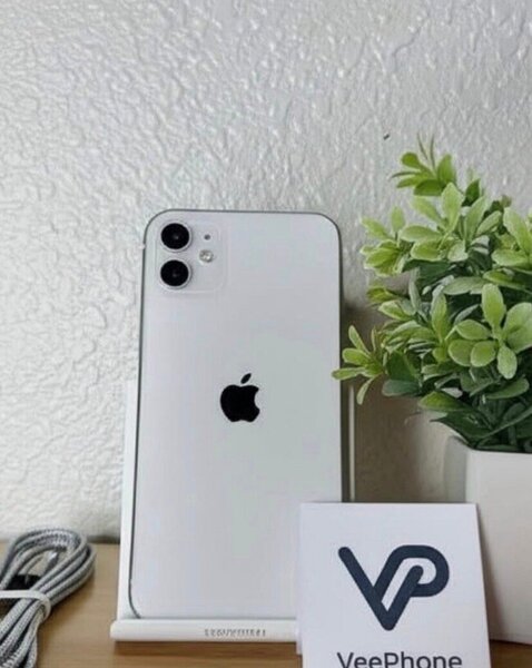 iPhone 11 Blanc Débloqué