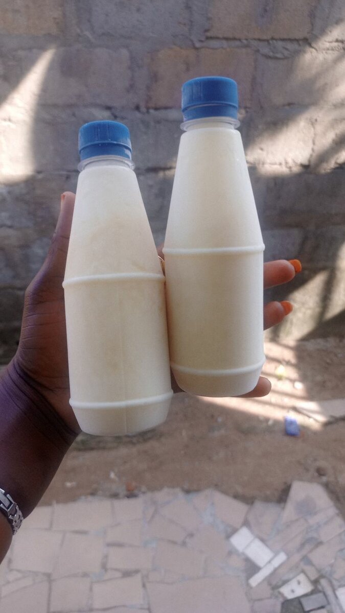 Yaourt maison en bouteilles