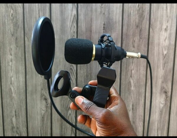 Microphone avec filtre anti-pop