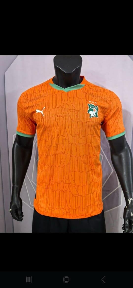 Maillot de Footballversion pro
