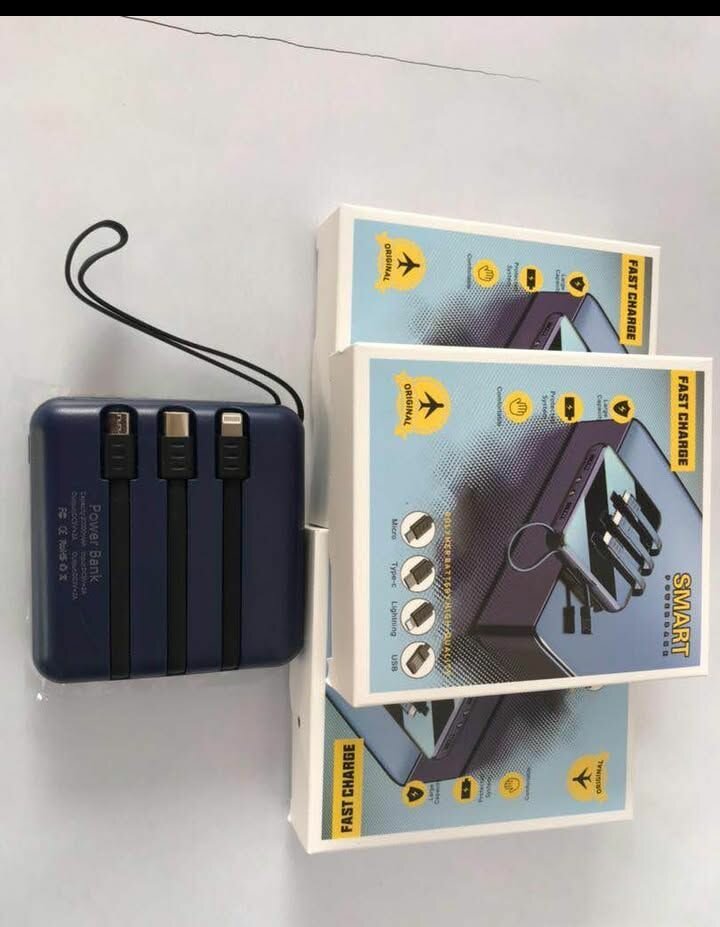 Chargeur Power Bank Portable