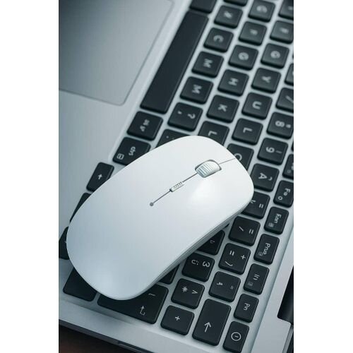 Souris sans fil ergonomique