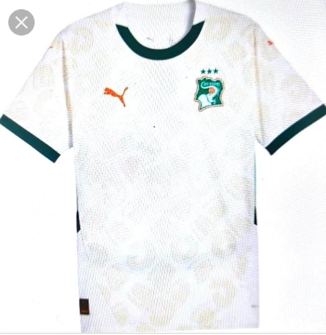Maillot Côte d'Ivoire Puma