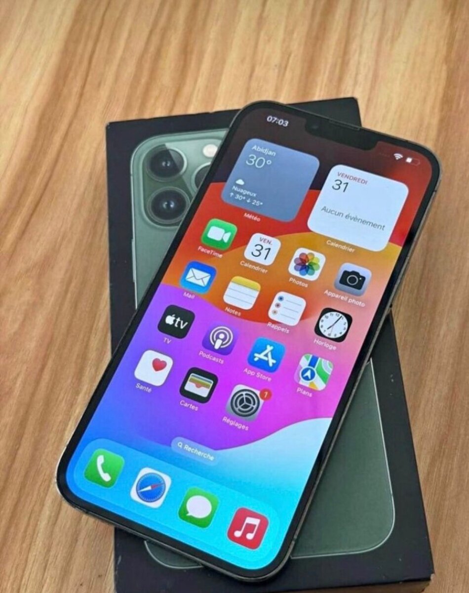 iPhone 13 Pro Max