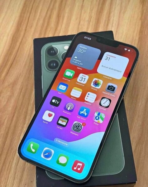 iPhone 13 Pro Max