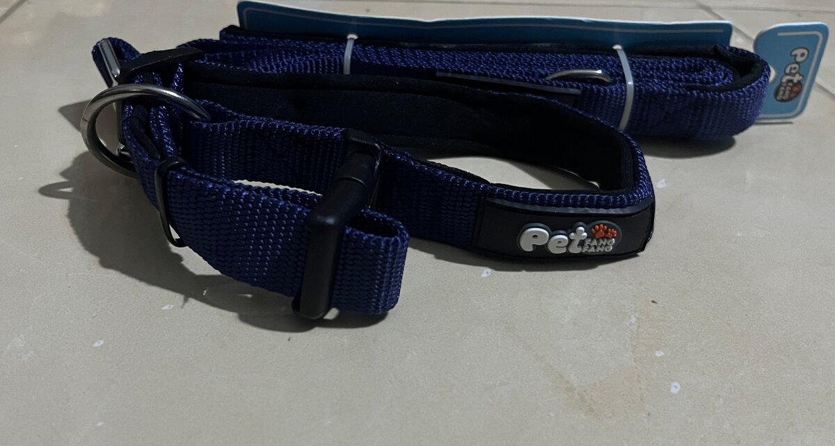 Collier Réglable pour Chiens