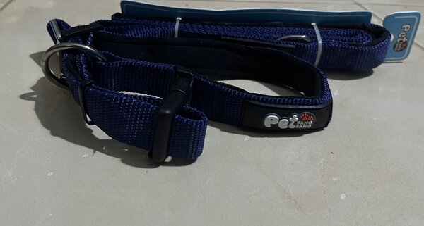 Collier Réglable pour Chiens