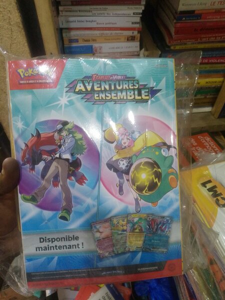 Pokémon Aventures Ensemble