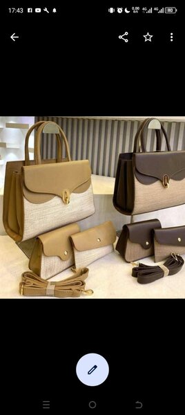 Sacs à Main Élégants en Cuir