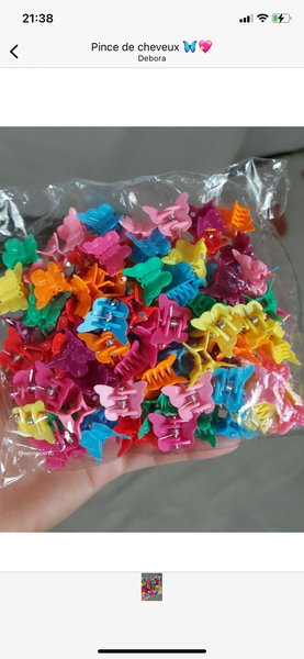 Ensemble de petites pinces