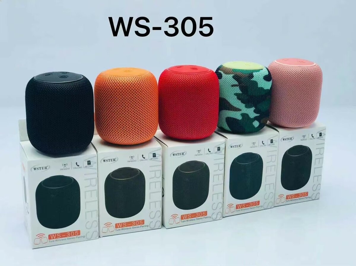 Enceintes Bluetooth Portable WS-305