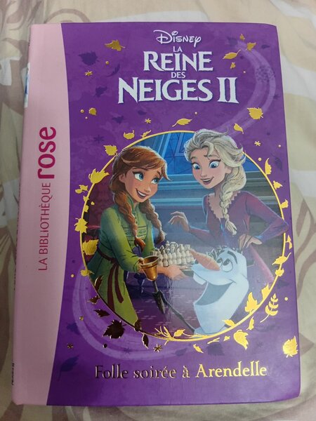 Livre Disney La Reine des Neiges II