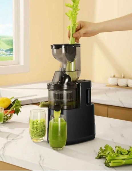 Extracteur de Jus Pro Puissant