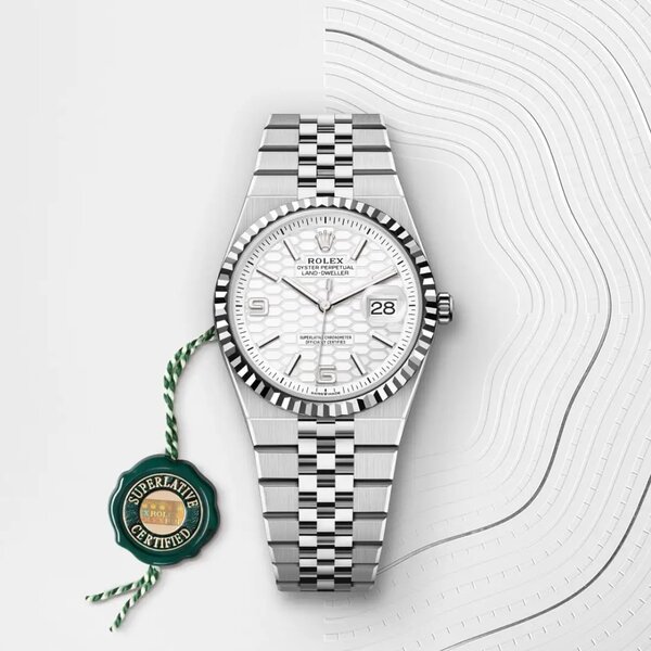 ROLEX Land-Dweller 36 mm