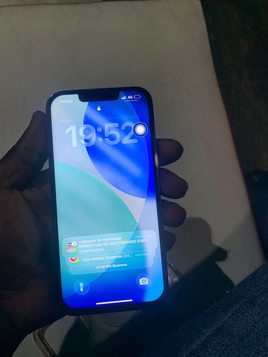 iPhone 13 Pro Max Gris