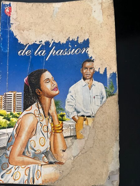 Roman 'Le Fruit de la Passion'