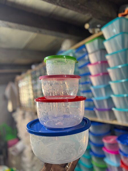 Transparent Plastic Storage Containers with Lids