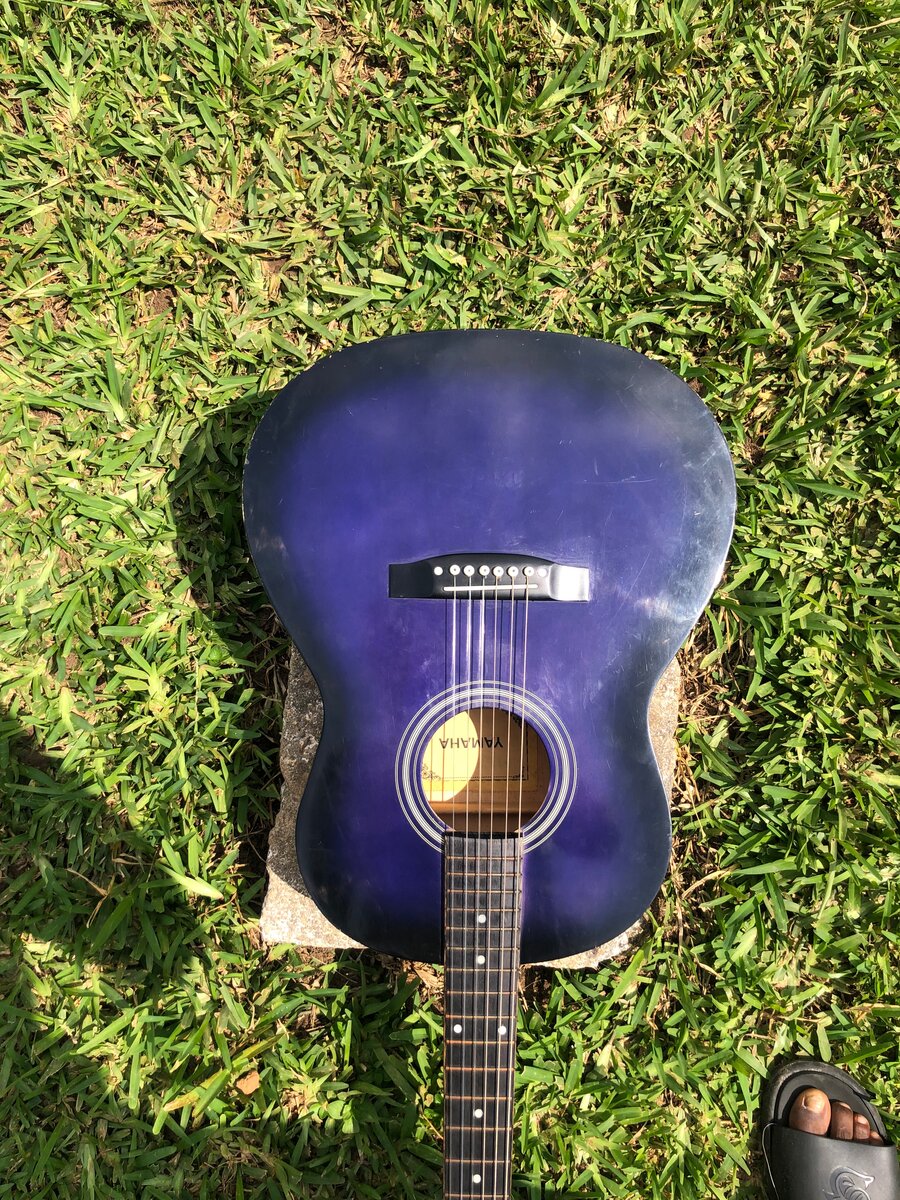 Guitare acoustique bleue