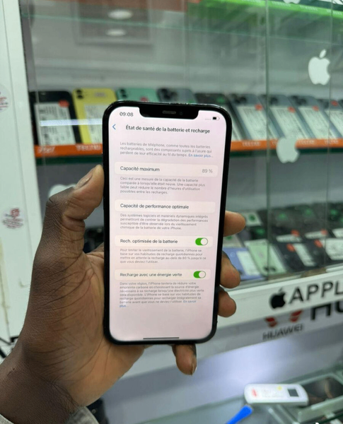 iPhone 12 Pro Max 256 Go