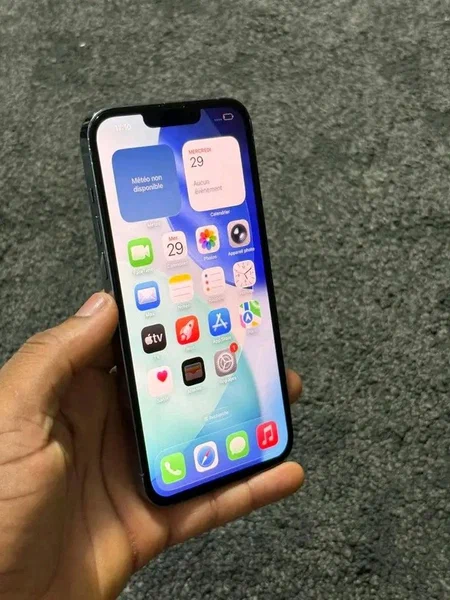 iPhone 13 Pro Max 256GB