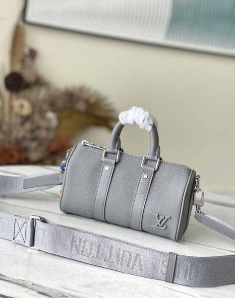 Sac à main Louis Vuitton gris