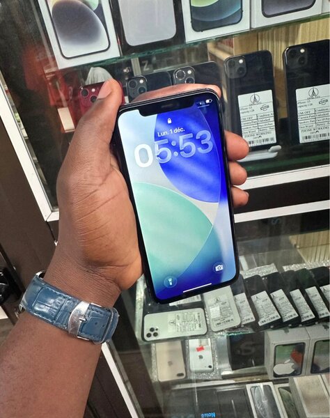 iPhone 12 Pro Max 256GB