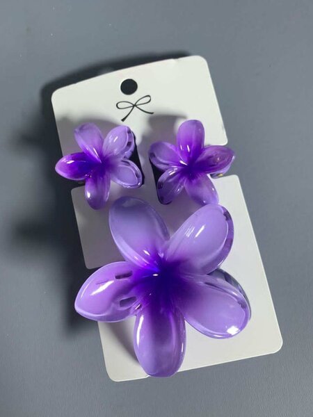 Pinces à cheveux fleurs colorées