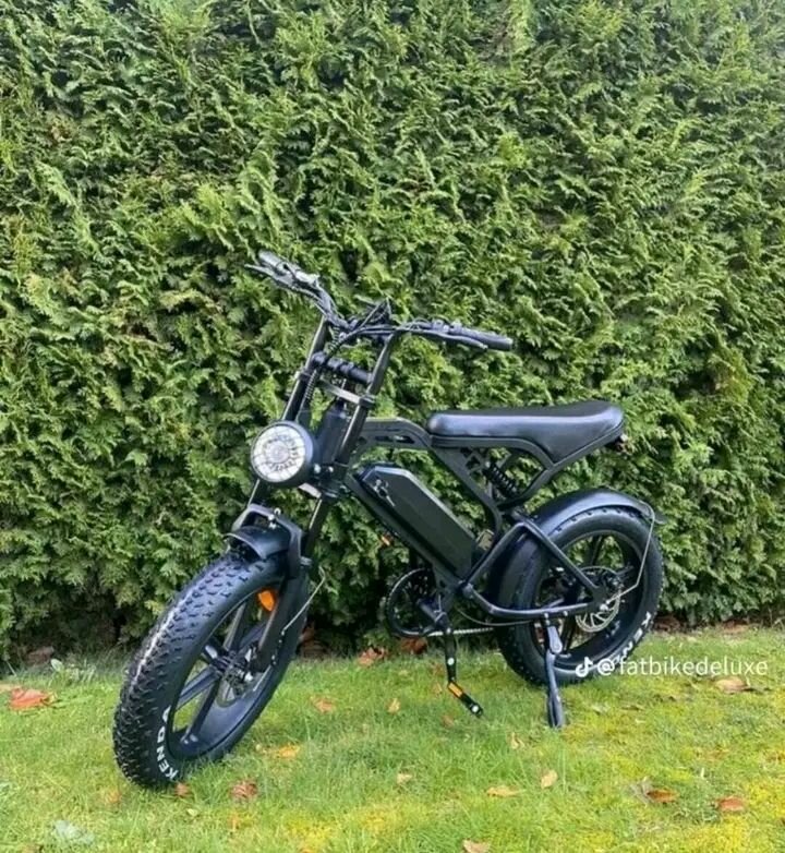 Vélos électriques tout-terrain puissants