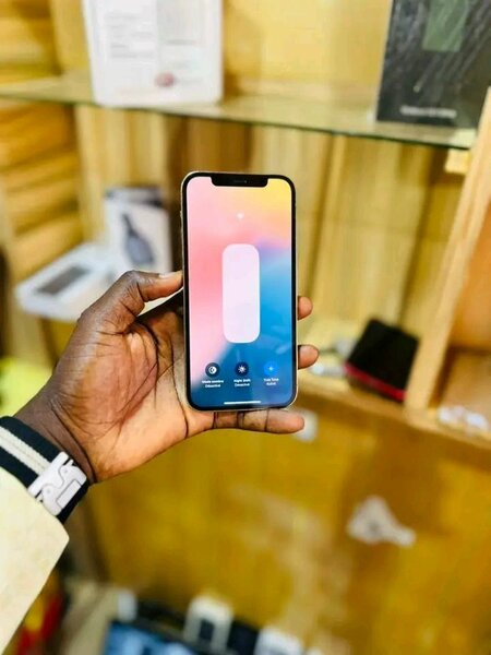 iPhone 12 Pro Max 128Go