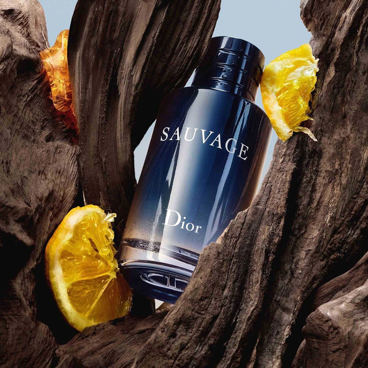Parfum Dior Sauvage Eau de Parfum