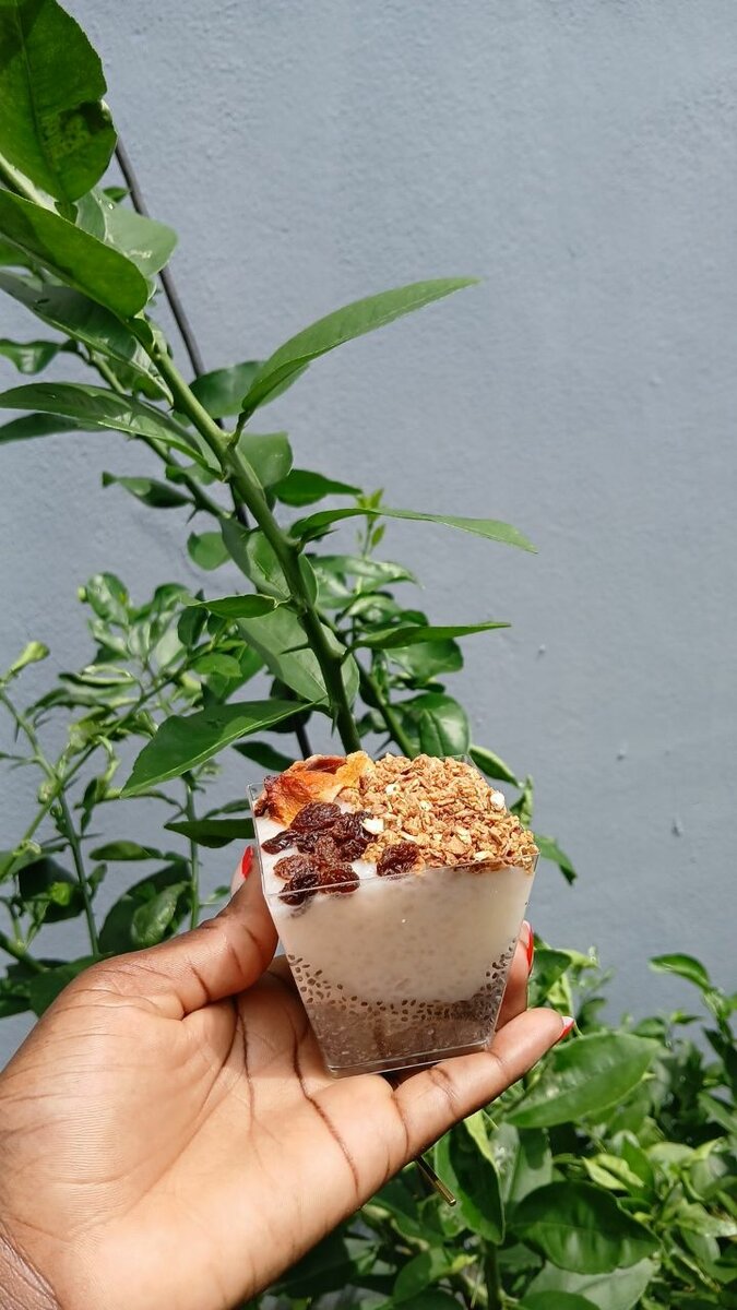 Tapioca Aux granola vanille