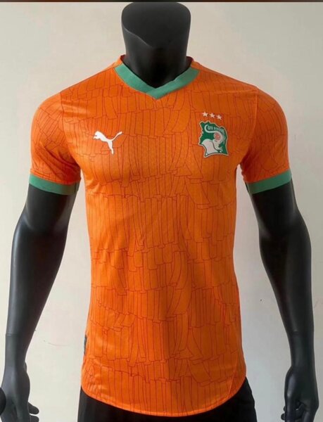 Maillot Côte d'Ivoire Puma