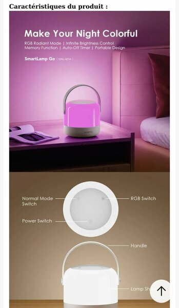 Lampe LED Portable Intérieure