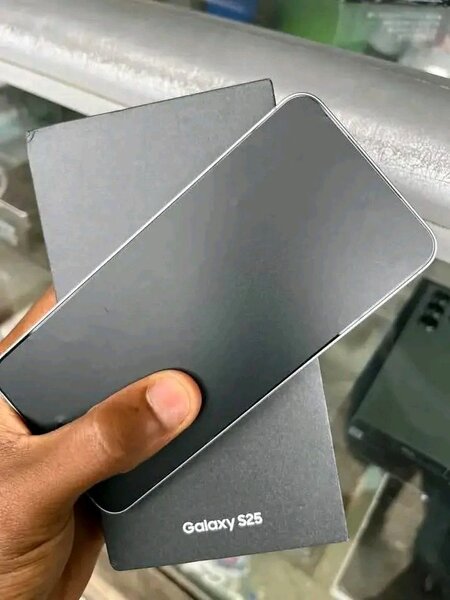 Samsung Galaxy S25