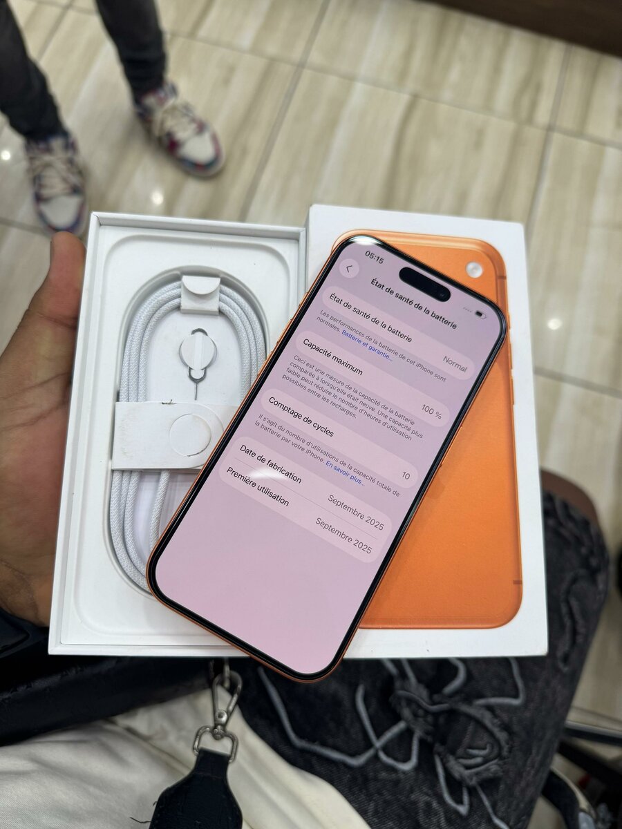 17 pro 256Go juste descellé