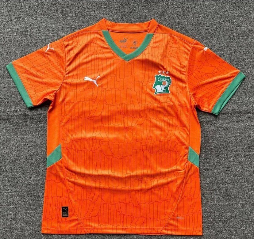 Maillot Puma Côte d'Ivoire