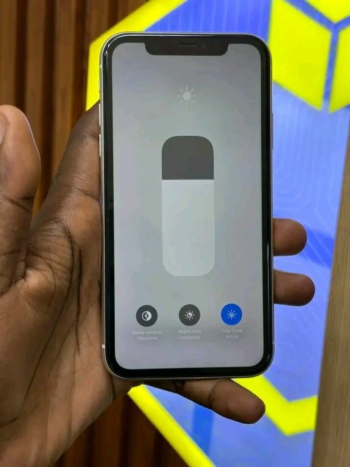 iPhone modèle récent 64 Go