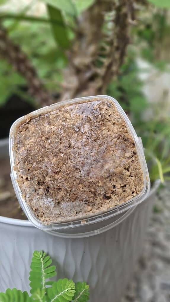 Savon noir brut Ivoirien 250G