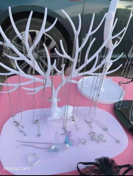 Présentoir de bijoux