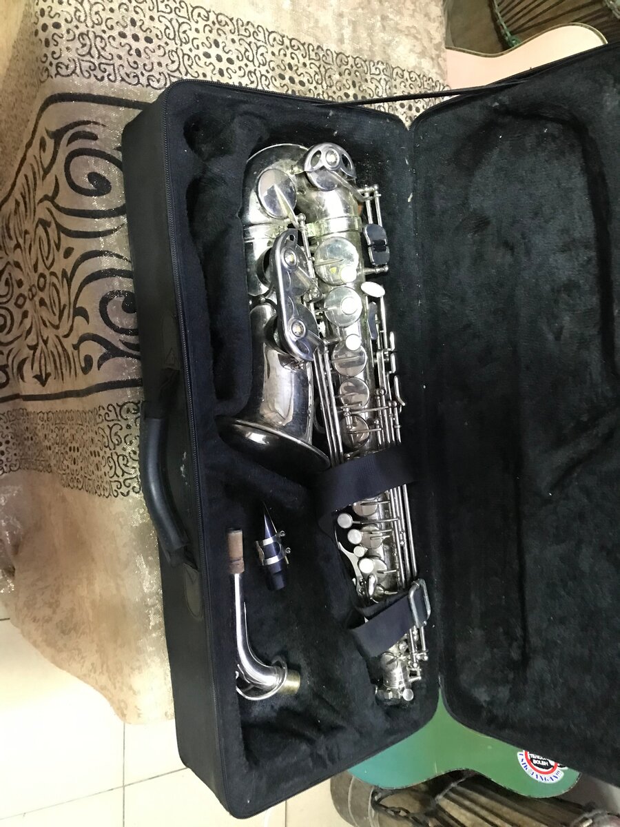 Saxophone Alto Argenté avec Étui