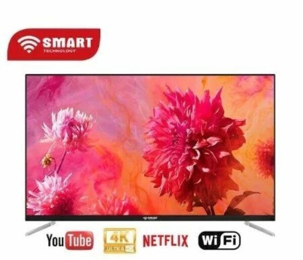 Télévision 4K Smart TV 24"