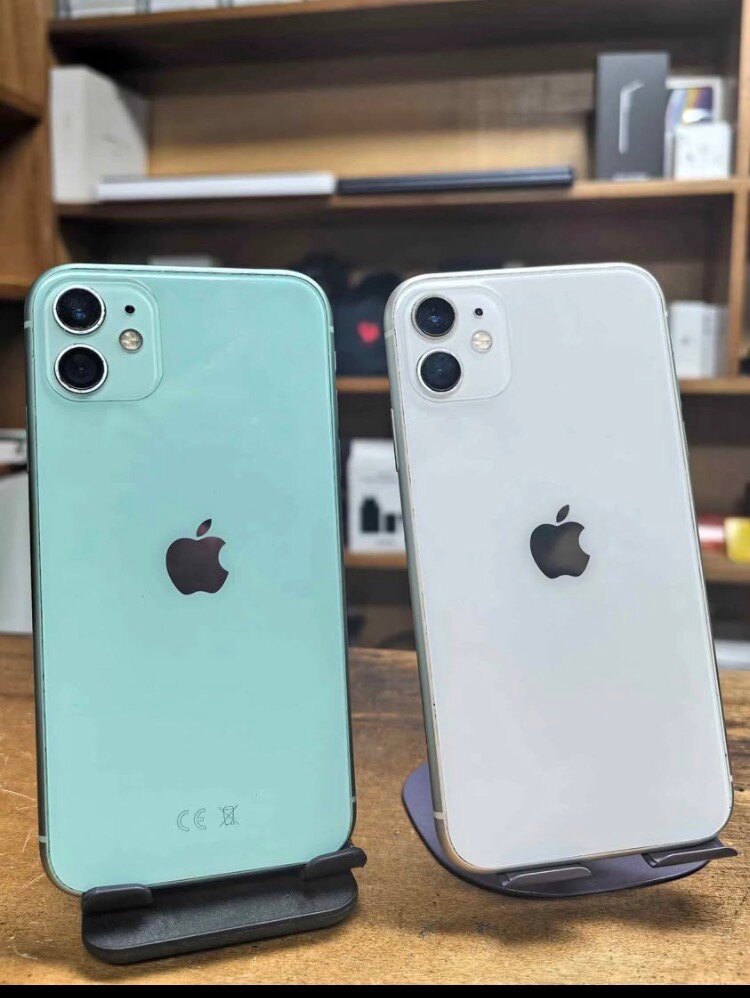 iPhone 11 Bicolore