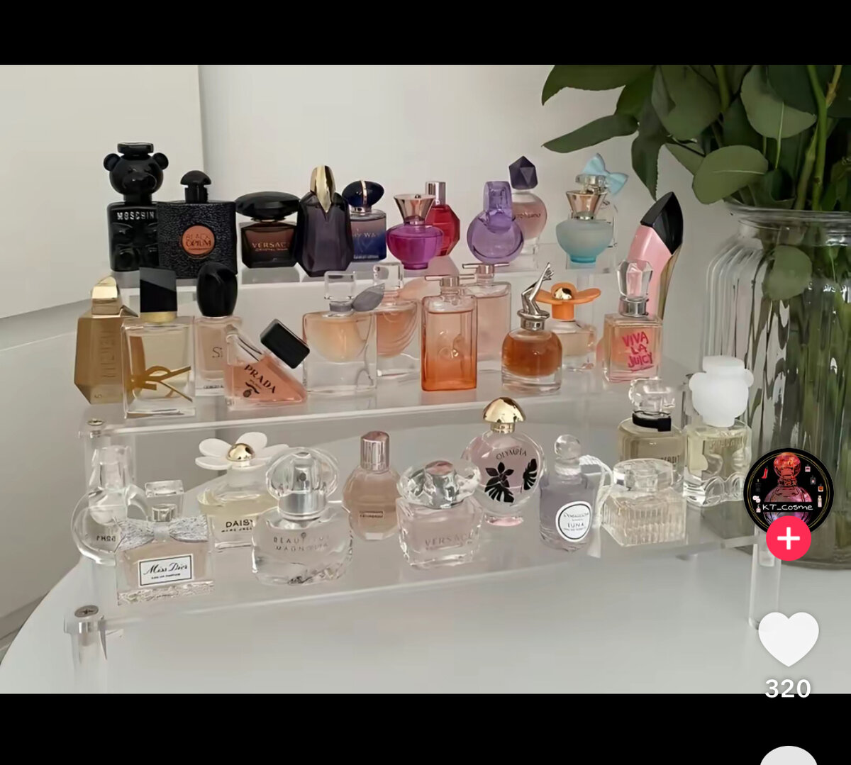 Collection de parfums de luxe