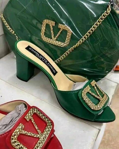 Ensemble sac et chaussures élégantes