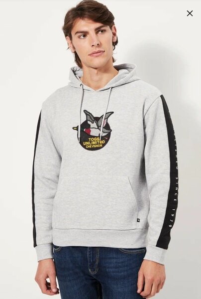 Sweat-shirt à capuche gris