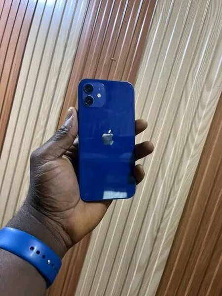 iPhone 12 Bleu Élégant